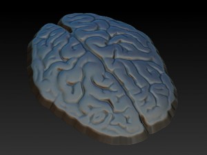 brain 3D Print Model
