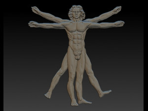 vitruvian man 3D 프린트 모델