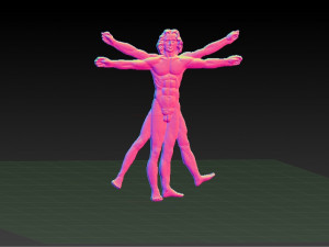 vitruvian man 3D 프린트 모델