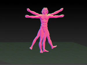 vitruvian man 3D Print Model