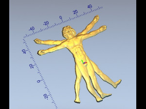 vitruvian man 3D 프린트 모델