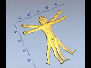 vitruvian man 3D Print Model