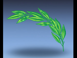 laurel 3D Принт Модель