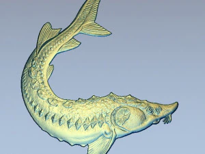 fish 3D Print Model