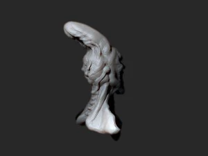 alien 3D Model