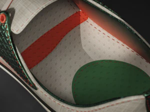 Shoe design 3D Model