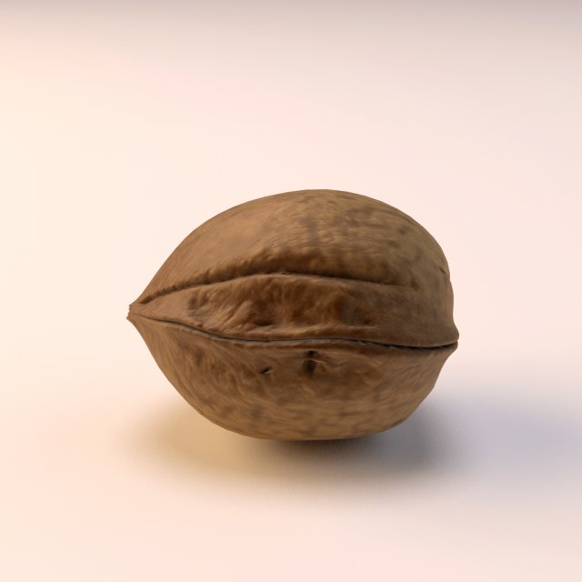 walnut 3D Model .c4d .max .obj .3ds .fbx .stl .blend 