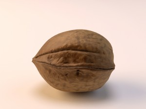 walnut 3Dモデル