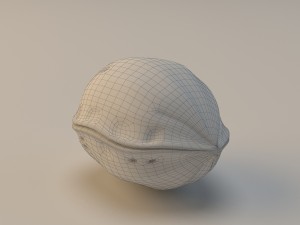 walnut 3D Model