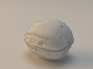 walnut 3D Model