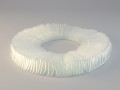 ruff from still life 3D Model