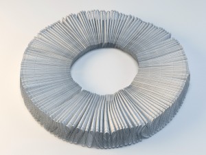 ruff from still life 3D Model