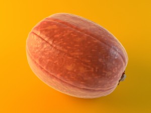 pumpkin 3D 模型