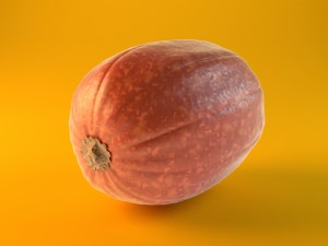 pumpkin 3D 模型
