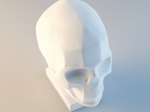 gypsum skull planes 3Dモデル