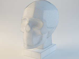 gypsum skull planes 3Dモデル
