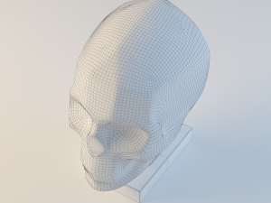 gypsum skull planes 3Dモデル