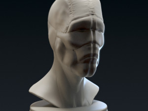 creature bust a - 3d printable Modelo de impresión 3D