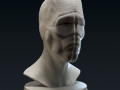 creature bust a - 3d printable Modello di stampa 3D