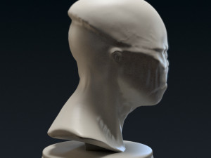 creature bust c - 3d printable Modello di stampa 3D