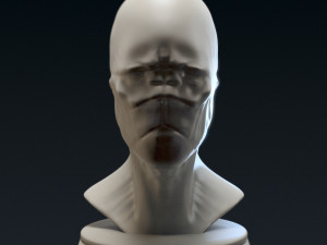 creature bust c - 3d printable Modello di stampa 3D
