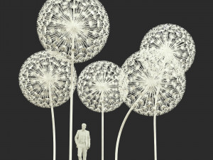 dandelion street decoration Modello 3D