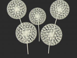 dandelion street decoration Modello 3D