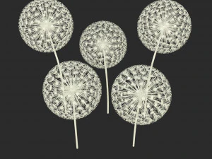 dandelion street decoration 3D Model