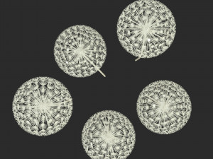 dandelion street decoration Modello 3D