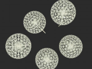 dandelion street decoration 3D Model
