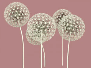 dandelion street decoration 3D Model
