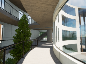 buta building concept Model 3D