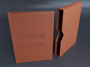 Album with Slipcase Storage Case 3Dモデル