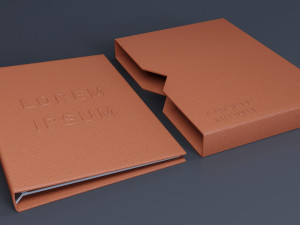 Album with Slipcase Storage Case 3Dモデル