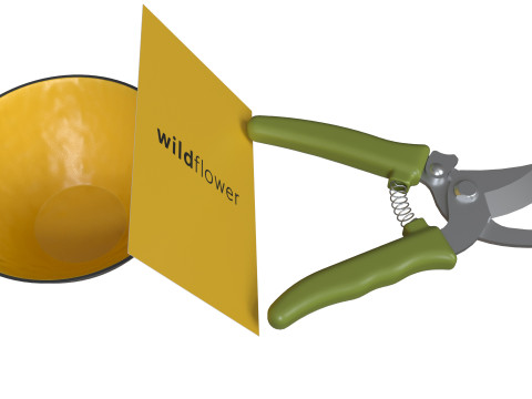 Wildflower box Kenzan Bowl Flowers Modelo 3D