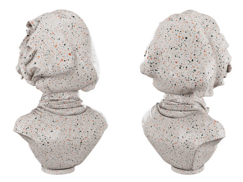 Busto femminile Modello 3D