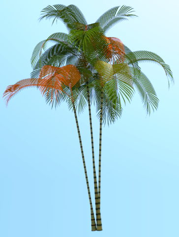 palmtree cyrtostachysrenda 3D Model .c4d .max .obj .3ds .fbx .stl .blend 