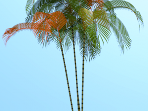 palmtree cyrtostachysrenda 3D-Modell