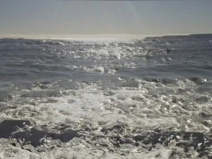 framed painting on the wall 3D Model