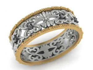 ring 2 sizes 3D Print Model