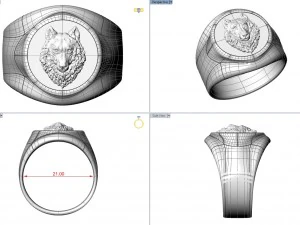 リングボルフ 3Dプリントモデル