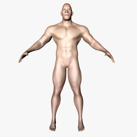 male character 3D Model .c4d .max .obj .3ds .fbx .stl .blend 