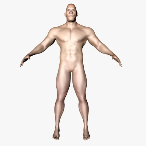 male character 3D Model .c4d .max .obj .3ds .fbx .stl .blend 
