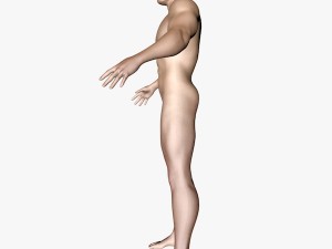 male character 3D Model