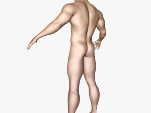 male character 3D Model