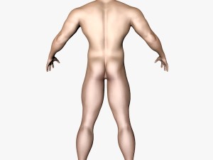 male character 3D Model