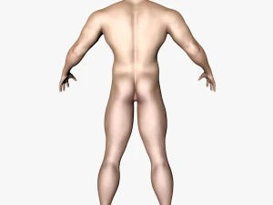 male character 3D Model