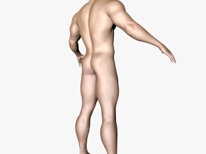 male character 3D Model