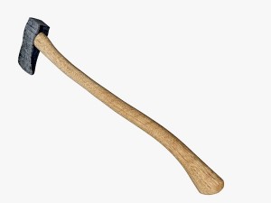 ax Modèle 3D