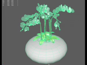 high quality orchid 3D Model